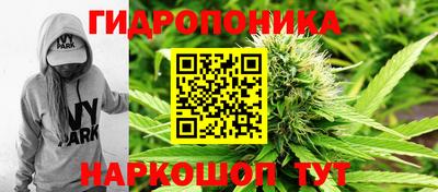 спайс Славгород