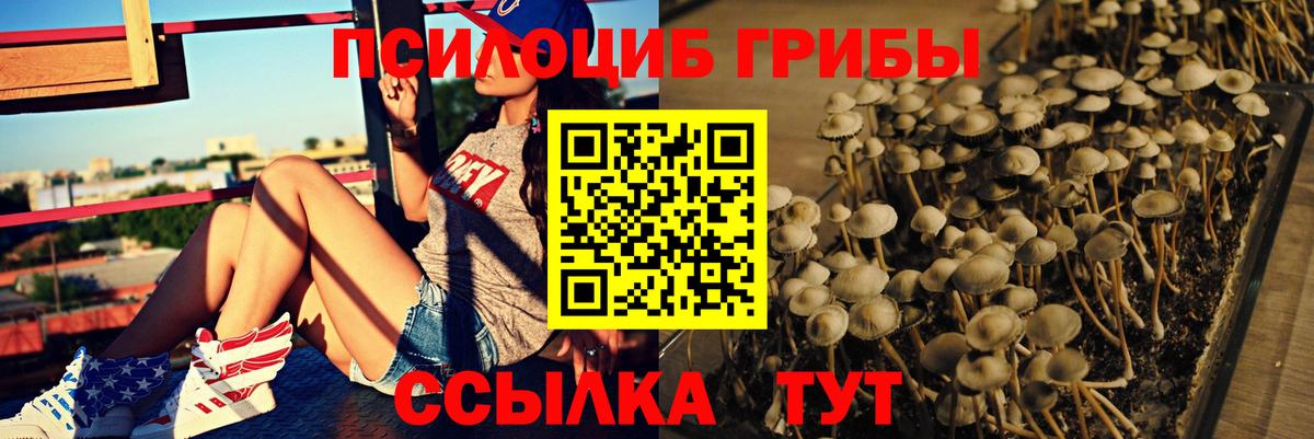 Псилоцибиновые грибы ЛСД Орск