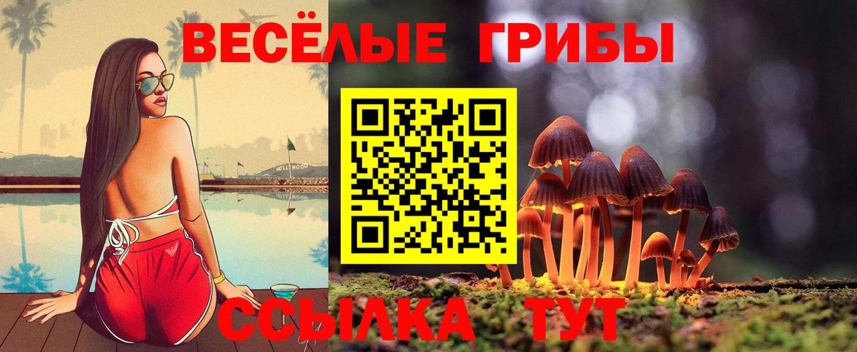 Псилоцибиновые грибы мицелий  Вход с VPN  Орск 